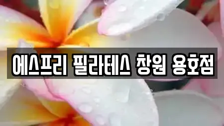 에스프리 필라테스 창원 용호점