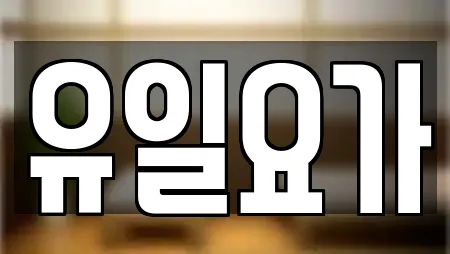 유일요가