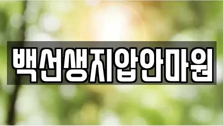 백선생지압안마원