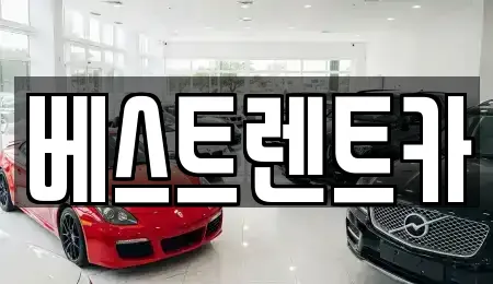 경상남도 창원시 마산합포구 신흥동 가까운 렌트카,장기렌트카,중고차,자동차전시장 13