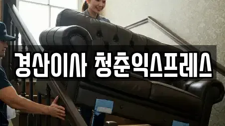 경산이사 청춘익스프레스