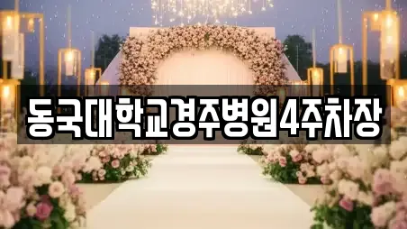 동국대학교경주병원4주차장
