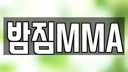 밤짐MMA