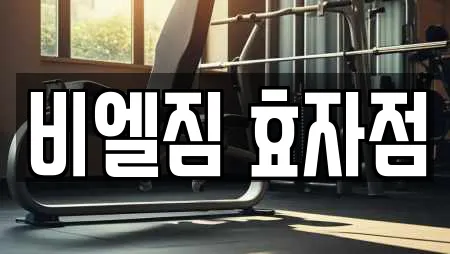 비엘짐 효자점