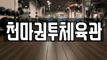 천마권투체육관