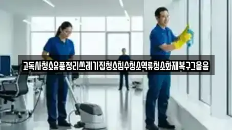 고독사청소유품정리쓰레기집청소침수청소역류청소화재복구그을음