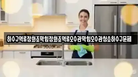하수구역류정화조막힘정화조역류오수관막힘오수관청소하수구문제