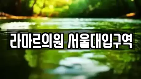 라마르의원 서울대입구역