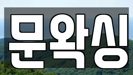 문왁싱