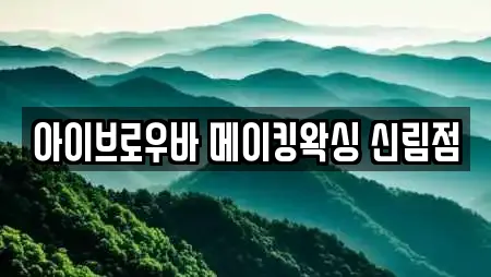 아이브로우바 메이킹왁싱 신림점