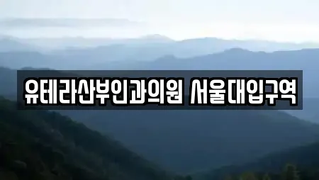 유테라산부인과의원 서울대입구역
