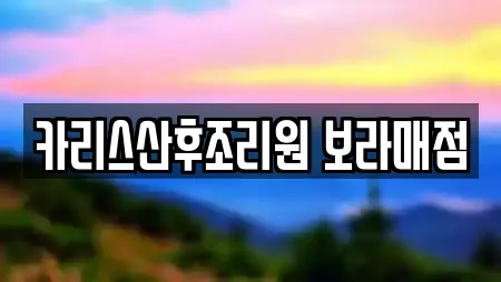 카리스산후조리원 보라매점