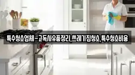 특수청소업체-고독사유품정리,쓰레기집청소,특수청소비용