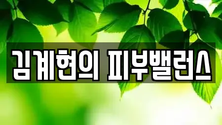 광주 문흥동 21곳 에스테틱 업체 리스트 광주 문흥동 21곳 에스테틱 업체 리스트