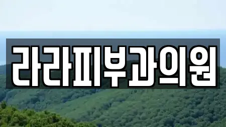 라라피부과의원