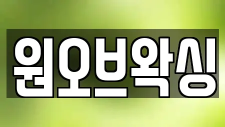 원오브왁싱