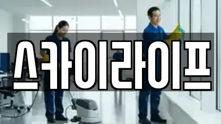 스카이라이프