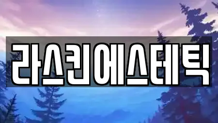 라스킨에스테틱
