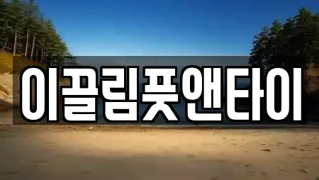 이끌림풋앤타이