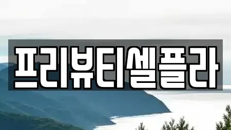 프리뷰티셀플라