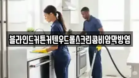 블라인드커튼커텐우드롤스크린콤비암막방염