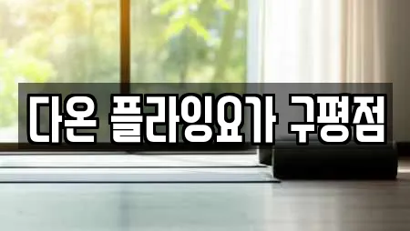다온 플라잉요가 구평점