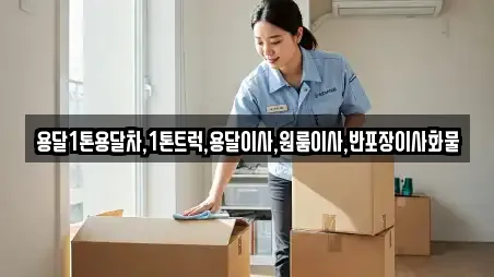 원룸이사 전문 군산시 신영동 컬렉션 5