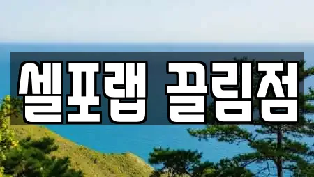 셀포랩 끌림점