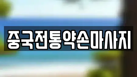 중국전통약손마사지