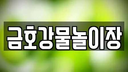 금호강물놀이장