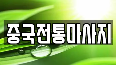 중국전통마사지