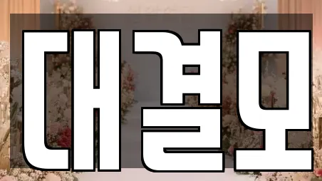 대결모