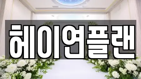 헤이연플랜