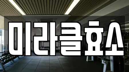 미라클효소