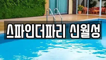 스파인더파리 신월성