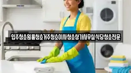 입주청소원룸청소거주청소이사청소상가사무실식당청소전문