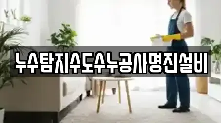 누수탐지수도수누공사명진설비