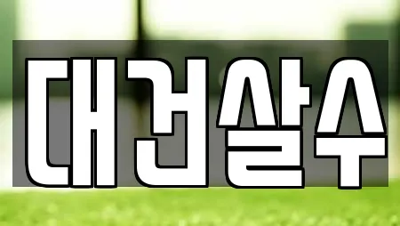 대건살수
