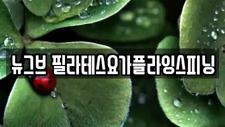 뉴그브 필라테스요가플라잉스피닝