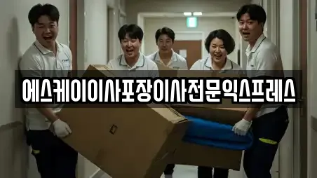 에스케이이사포장이사전문익스프레스