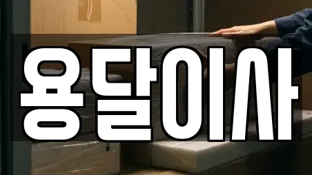 용달이사