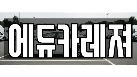 에듀카레져