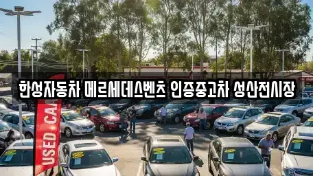 마포구 중동 자동차전시장 전문 업체 안내 11건