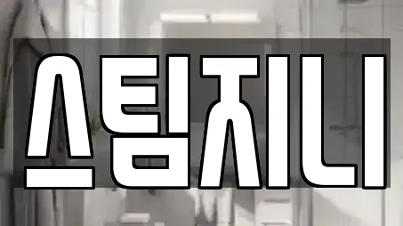 스팀지니