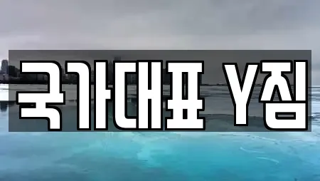 국가대표 Y짐