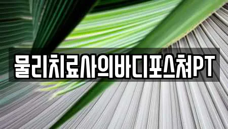 물리치료사의바디포스쳐PT