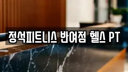정석피트니스 반여점 헬스 PT