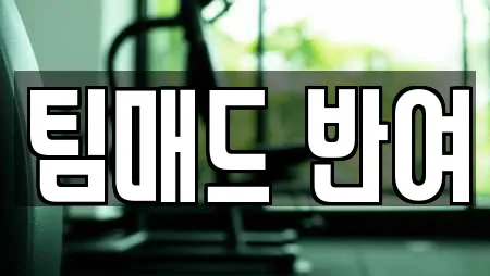 팀매드 반여