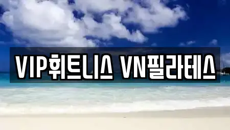 VIP휘트니스 VN필라테스
