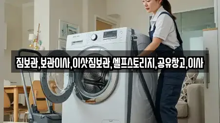 짐보관,보관이사,이삿짐보관,셀프스토리지,공유창고,이사
